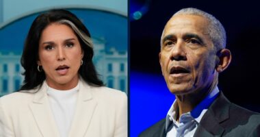 Tulsi Gabbard is wrong: Obama didn't commit treason