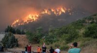 Turkey wildfires kill at least 10 and injure 14 others 'after wind suddenly changed' as infernos continue to burn across country