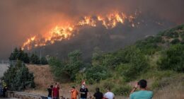 Turkey wildfires kill at least 10 and injure 14 others 'after wind suddenly changed' as infernos continue to burn across country