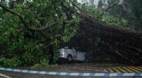 Typhoon Wipha topples trees and causes major flight disruptions in Hong Kong and southern China