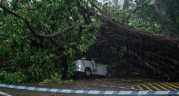 Typhoon Wipha topples trees and causes major flight disruptions in Hong Kong and southern China