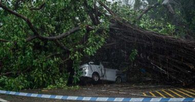 Typhoon Wipha topples trees and causes major flight disruptions in Hong Kong and southern China