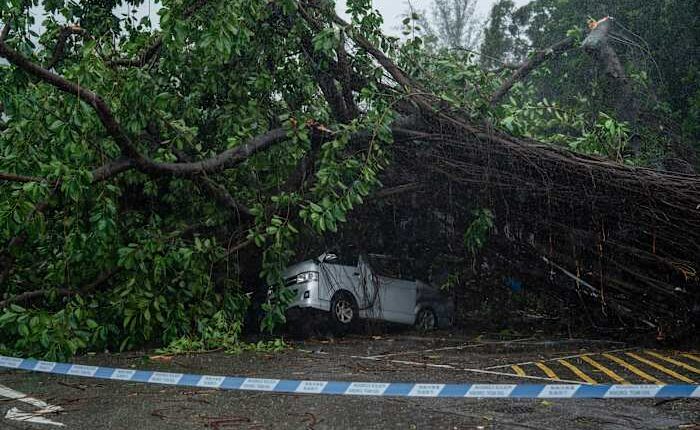 Typhoon Wipha topples trees and causes major flight disruptions in Hong Kong and southern China