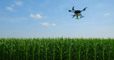 U of I researchers aim to help farmers by improving production, irrigation