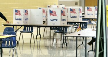 UK plans to lower voting age to 16. Could it happen in the US?