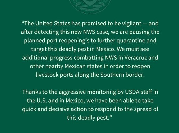 UPDATE: US again halts imports of Mexican cattle