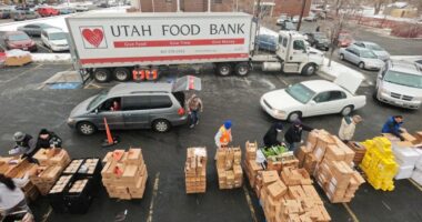 US food banks struggle as demand surges, federal support shrinks