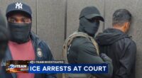 US immigration news: ICE arrests at courts in Chicago, nationwide labeled 'unlawful' in new lawsuit against Trump administration
