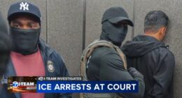 US immigration news: ICE arrests at courts in Chicago, nationwide labeled 'unlawful' in new lawsuit against Trump administration