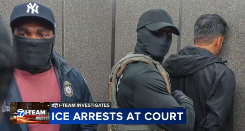 US immigration news: ICE arrests at courts in Chicago, nationwide labeled 'unlawful' in new lawsuit against Trump administration