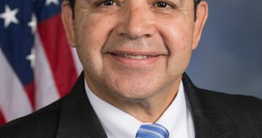 US must streamline drone process to counter cartel drones on the border, lawmaker says