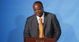 Eswatini's King Mswati III addresses the Climate Action Summit in the United Nations General Assembly at U.N. headquarters, Sept. 23, 2019. (AP Photo/Jason DeCrow, File)