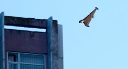 Ukrainian drone strikes a Russian plant after record Russian drone attacks in June