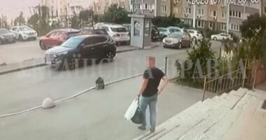 Ukrainian intelligence officer 'assassinated' in broad daylight