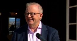 Prime Minister Anthony Albanese welcomed new MPs