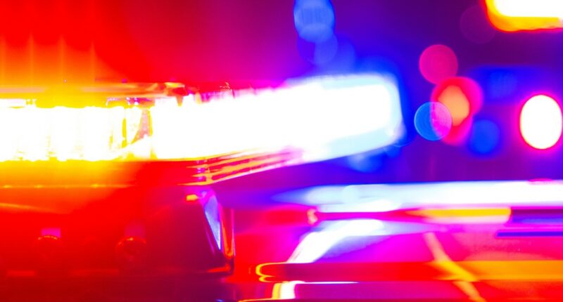 Vehicle drives into crowd in East Hollywood, injuring more than 20