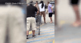 Video: Group appears to confront, stop suspect in Michigan Walmart stabbing