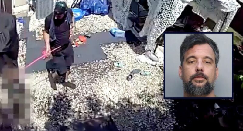 Videos show stepdad repeatedly abusing 6-year-old: Police