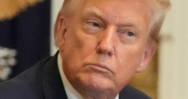 Donald Trump said Jeffrey Epstein 'stole' Virginia Giuffre from him.