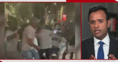 Vivek Ramaswamy says Cincinnati brawl isn't about race