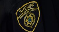 WCSO: 2 jailed after assaults with hammer, gun