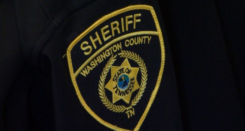 WCSO: 2 jailed after assaults with hammer, gun