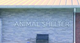 Washington County/Johnson City Animal Shelter joins ASPCA campaign