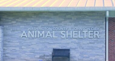 Washington County/Johnson City Animal Shelter joins ASPCA campaign