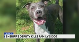 Watch: Bodycam footage shows Missouri deputy shoot family dog