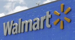 Watch: Bystanders, Armed Citizen Confront Traverse City Walmart Mass Stabbing Suspect in Dramatic Moment