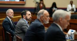 Watch: Protester interrupts antisemitism hearing