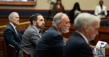Watch: Protester interrupts antisemitism hearing