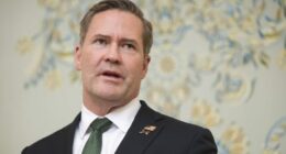Watch: Waltz, Trump's pick for UN ambassador, faces Senate confirmation hearing