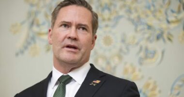 Watch: Waltz, Trump's pick for UN ambassador, faces Senate confirmation hearing