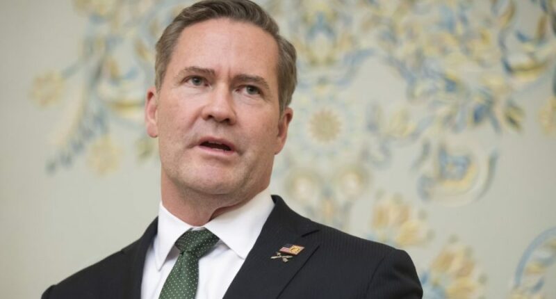 Watch: Waltz, Trump's pick for UN ambassador, faces Senate confirmation hearing