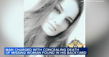 Waukegan man Jose Luis Mendoza-Gonzalez, charged with concealing body of missing Antioch woman Megan Bos, arrested by ICE: DHS