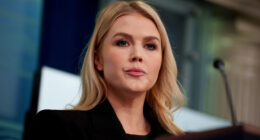We Gave Karoline Leavitt Brown Hair & Suddenly Her Age Gap Marriage Isn't So Jarring