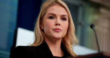 We Gave Karoline Leavitt Brown Hair & Suddenly Her Age Gap Marriage Isn't So Jarring