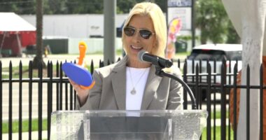 'Wear that pride on your sleeve': City of Jacksonville announces new online merchandise store
