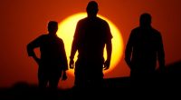 Websites hosting major US climate reports taken down