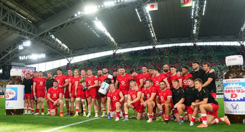 Welsh Rugby Union confirms plan for 'radical strategy' - one likely to end with cutting of teams from four to two