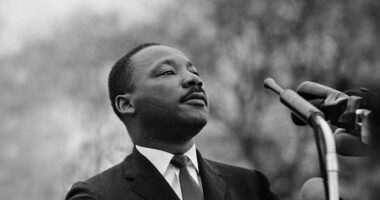 What MLK Jr. files have been released, and what have we learned?