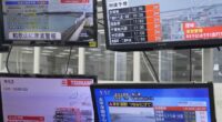 What are the tsunami alert levels? What do you do if you get a tsunami alert?