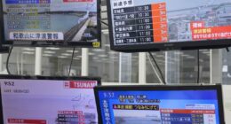 What are the tsunami alert levels? What do you do if you get a tsunami alert?