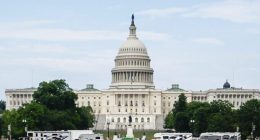 What made the cut in Senate's nearly 1,000-page policy megabill?