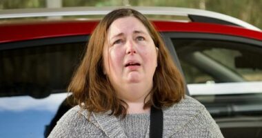 What we know about Erin Patterson