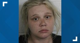 Whitney Purvis arrested: '16 and Pregnant' star charged with involuntary manslaughter
