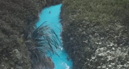 A passerby noticed the colour of the creek yesterday.