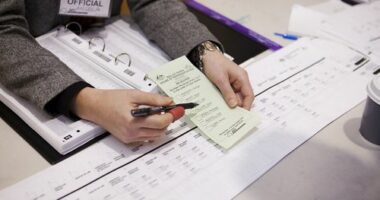 Polling Day Imagery, Australian Electoral Commission, voting in Australia