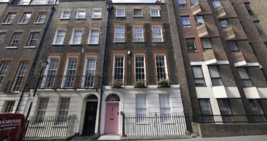 Why the super rich are FLEEING Knightsbridge: Elite West London residents reveal their mansions have dropped £1million in value in just 7 years due to Labour tax raids and rampant crime